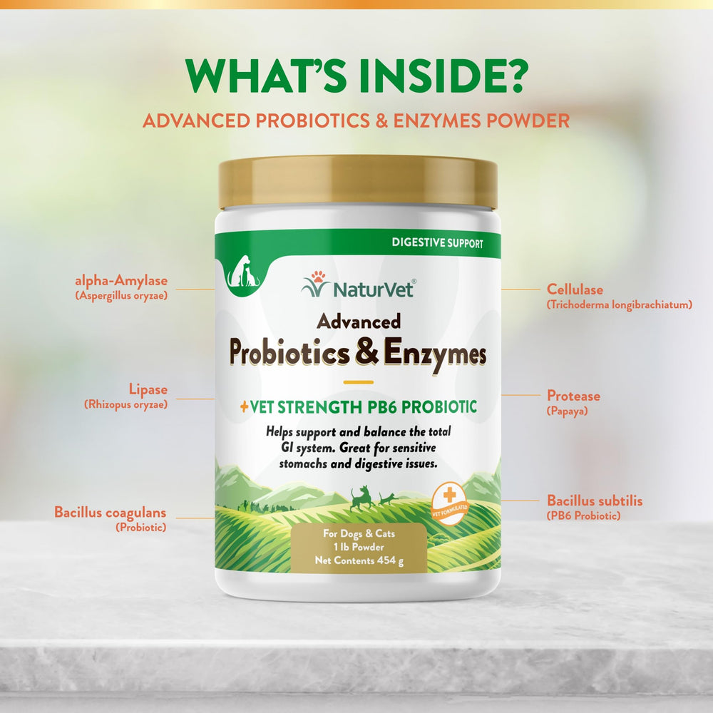 NaturVet Probiotiques Avances digestions-chiens-chats: soutien lors des troubles digestifs.