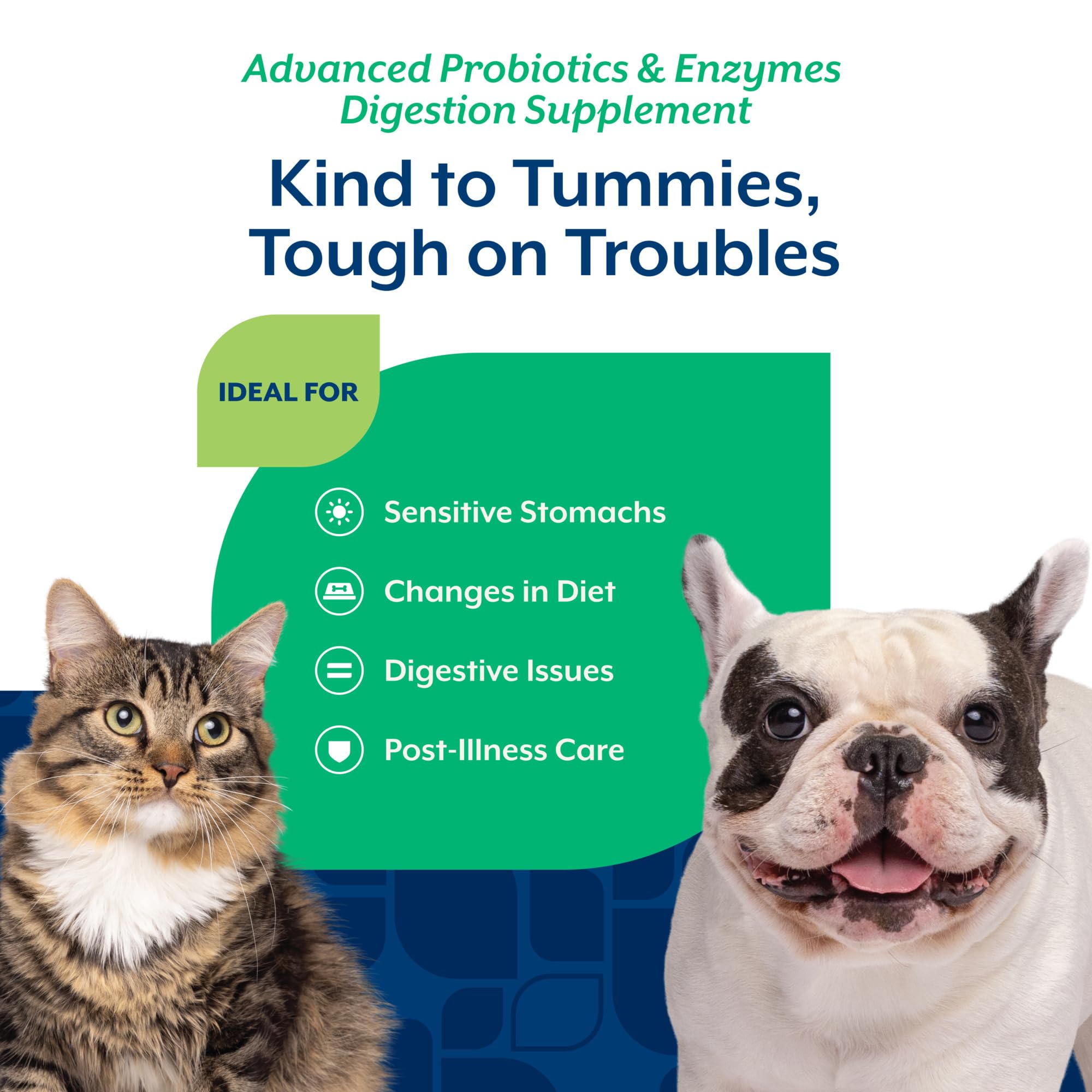 NaturVet PB6 – formulation vétérinaire pour estomacs sensibles chiens et chats