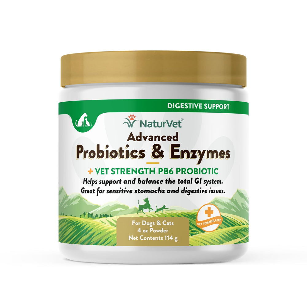 NaturVet PB6 Probiotiques et enzymes en bouteille 4oz, soutien digestif pour chiens et chats.