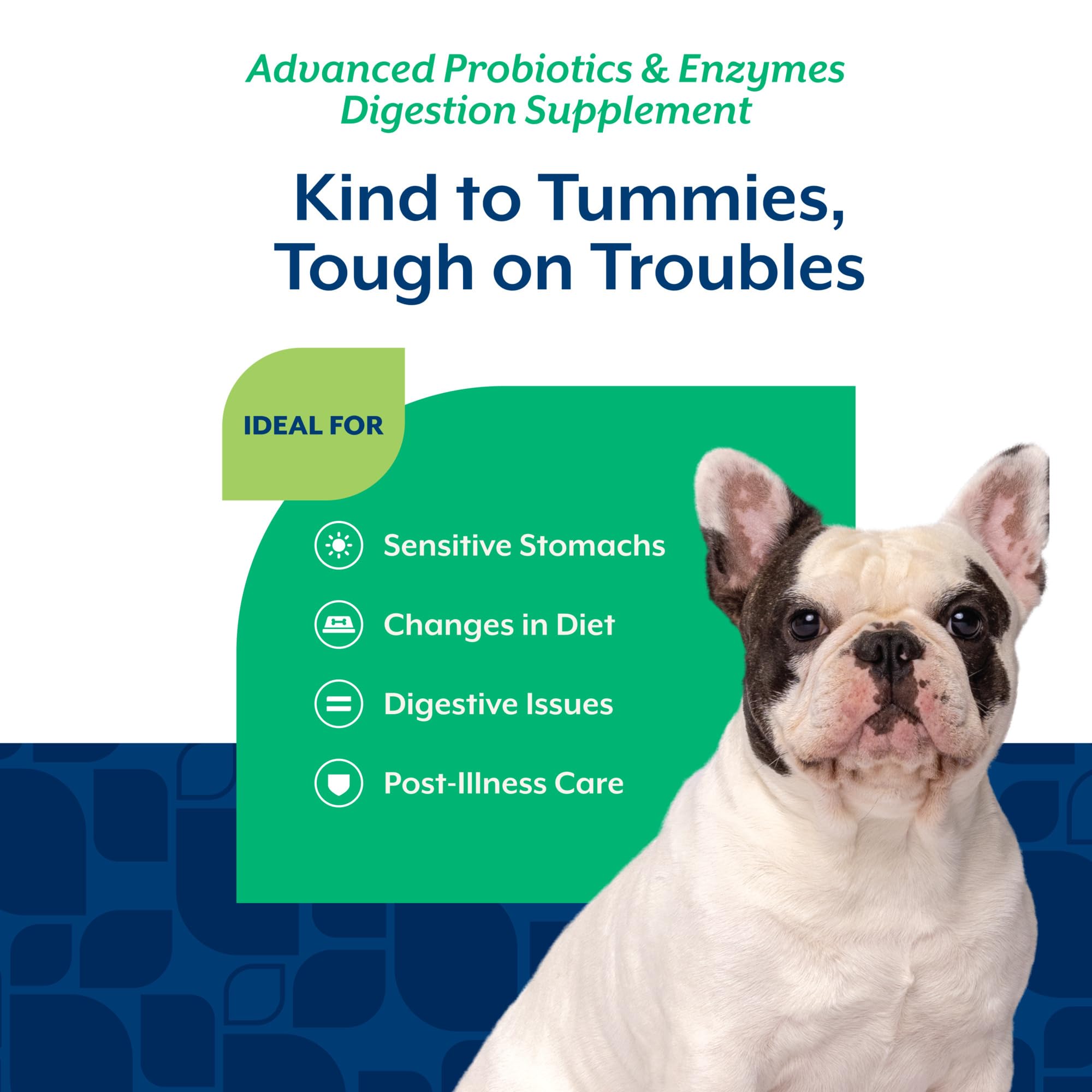 Emballage NaturVet PB6 montrant probiotiques et enzymes.