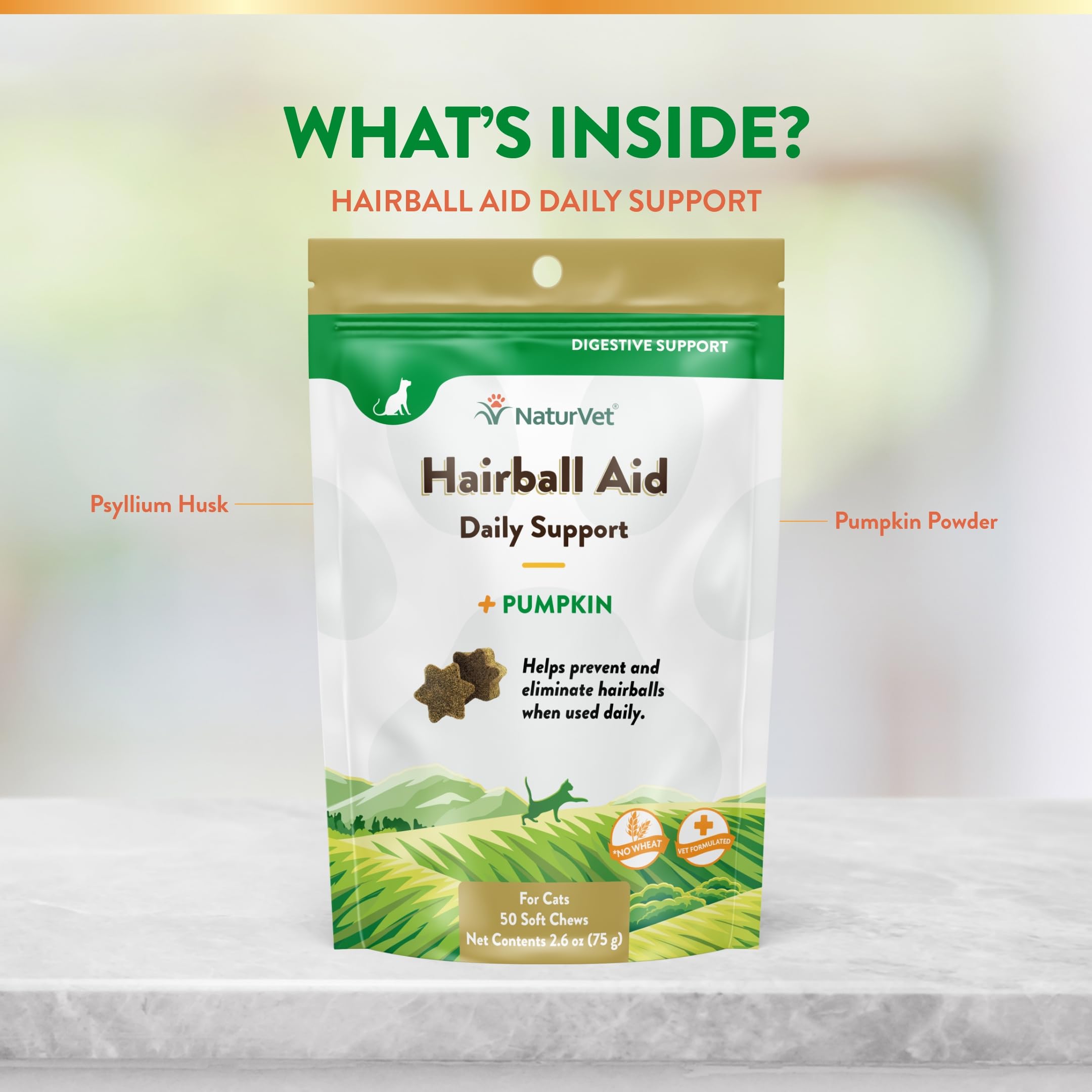 NaturVet sans gluten, option sûre pour chats sensibles.