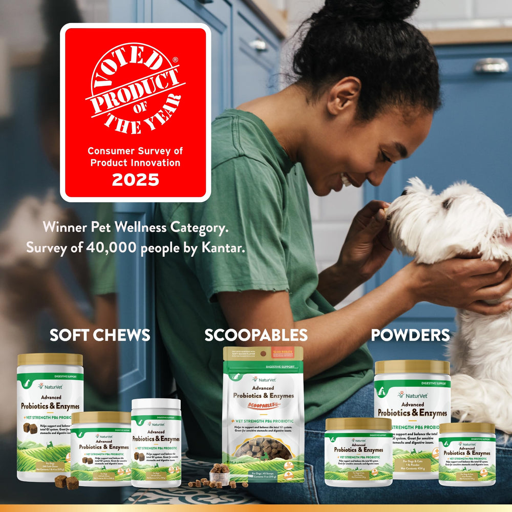 Chien mangeant NaturVet Scoopables au goût bacon.