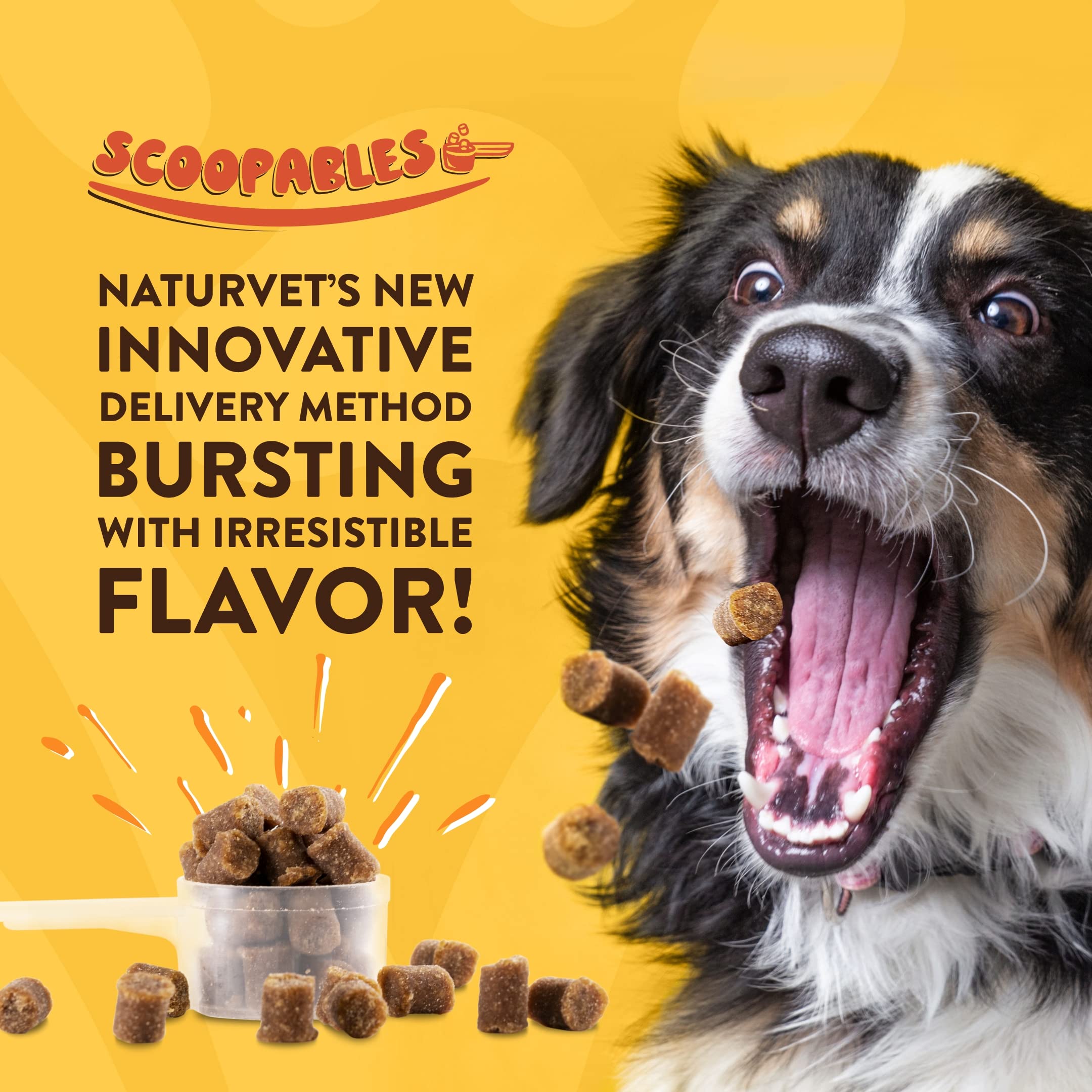 NaturVet Scoopables emballage 11oz, saveur bacon fumé et praticité d’usage.