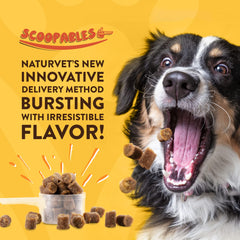 NaturVet Scoopables emballage 11oz, saveur bacon fumé et praticité d’usage.