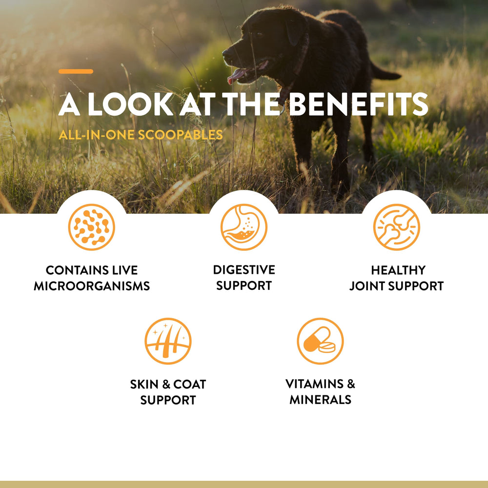 NaturVet Scoopables glucosamine et chondroïtine pour les tissus conjonctifs et mobilité.