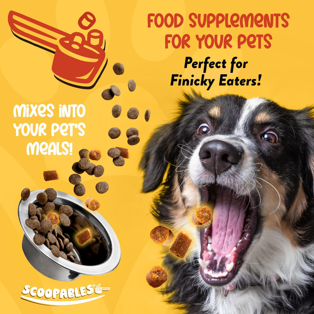 NaturVet Scoopables: sachet 11oz bacon, saveur appréciée par les chiens.