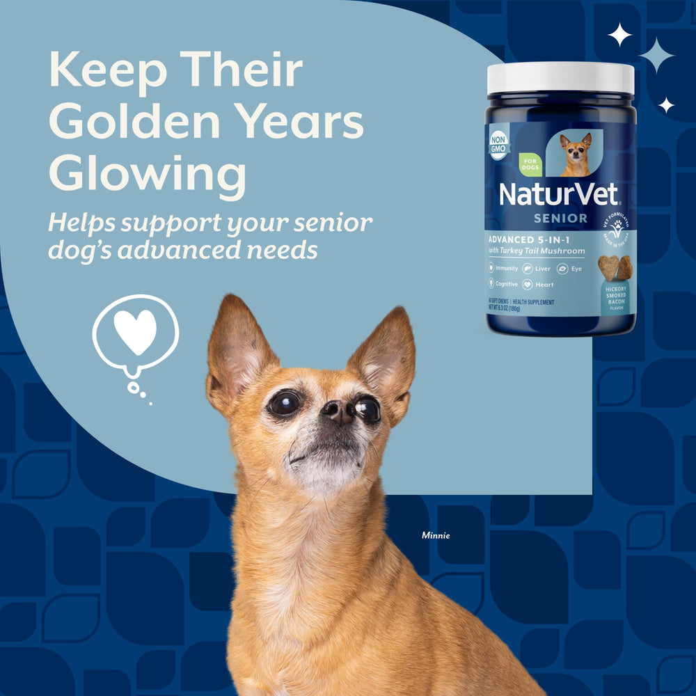 NaturVet Senior 5-en-1: ginkgo biloba et lutéine pour la santé des yeux.