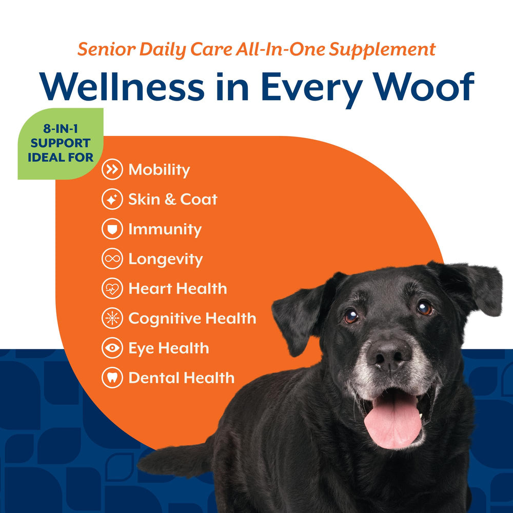 NaturVet soutien cœur et énergie, potentiel pour chiens seniors actifs.