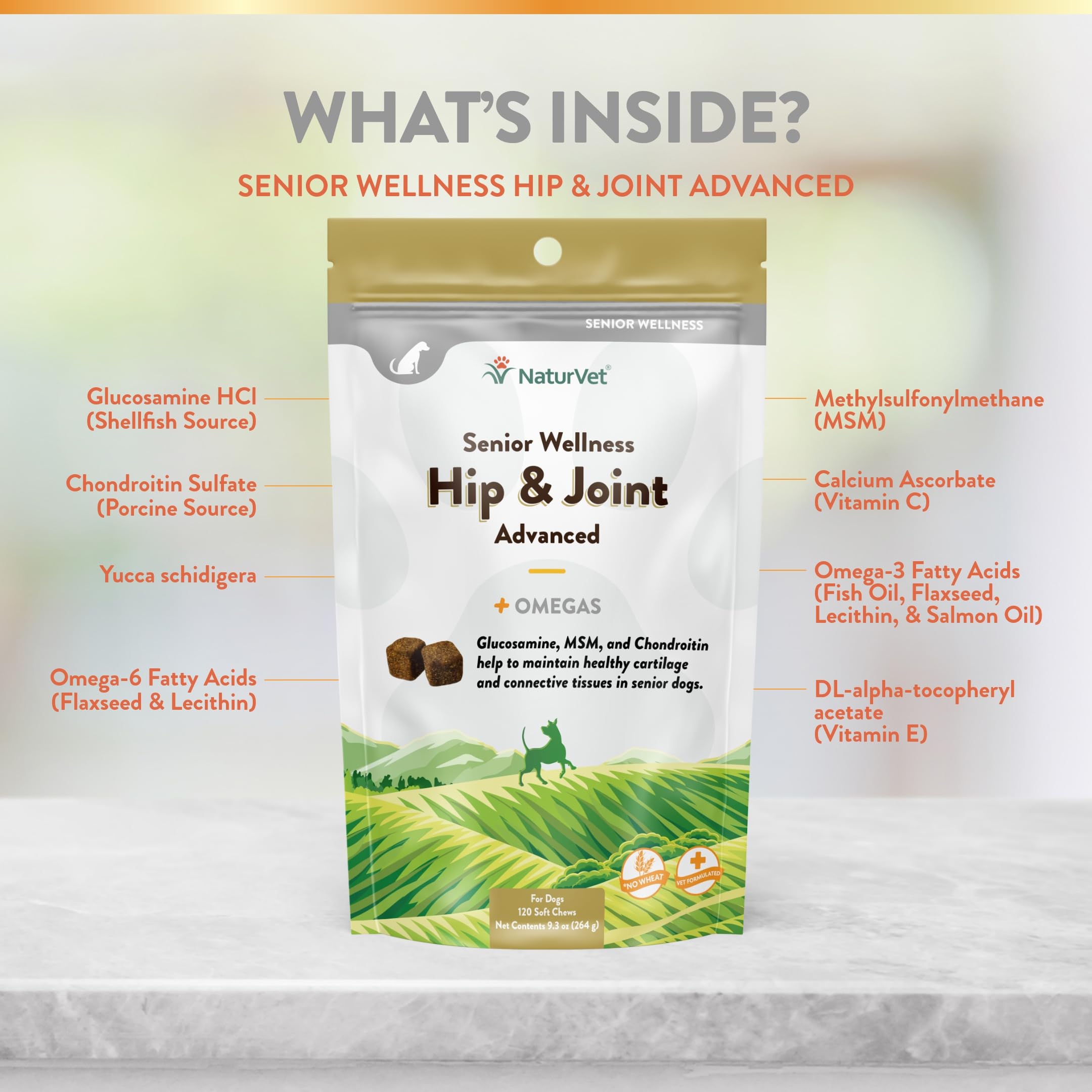 NaturVet Senior Wellness – Omegas pour le soutien des tissus conjonctifs.