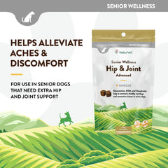 NaturVet Senior Wellness – texture molle facile à mâcher pour les seniors.