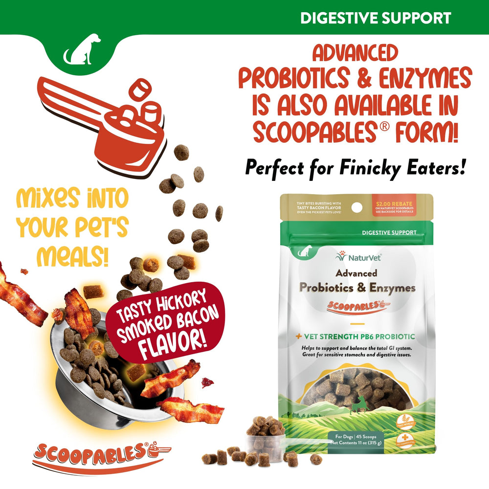 NaturVet-serenite-digestion-chien suggère une impression de calme après administration.