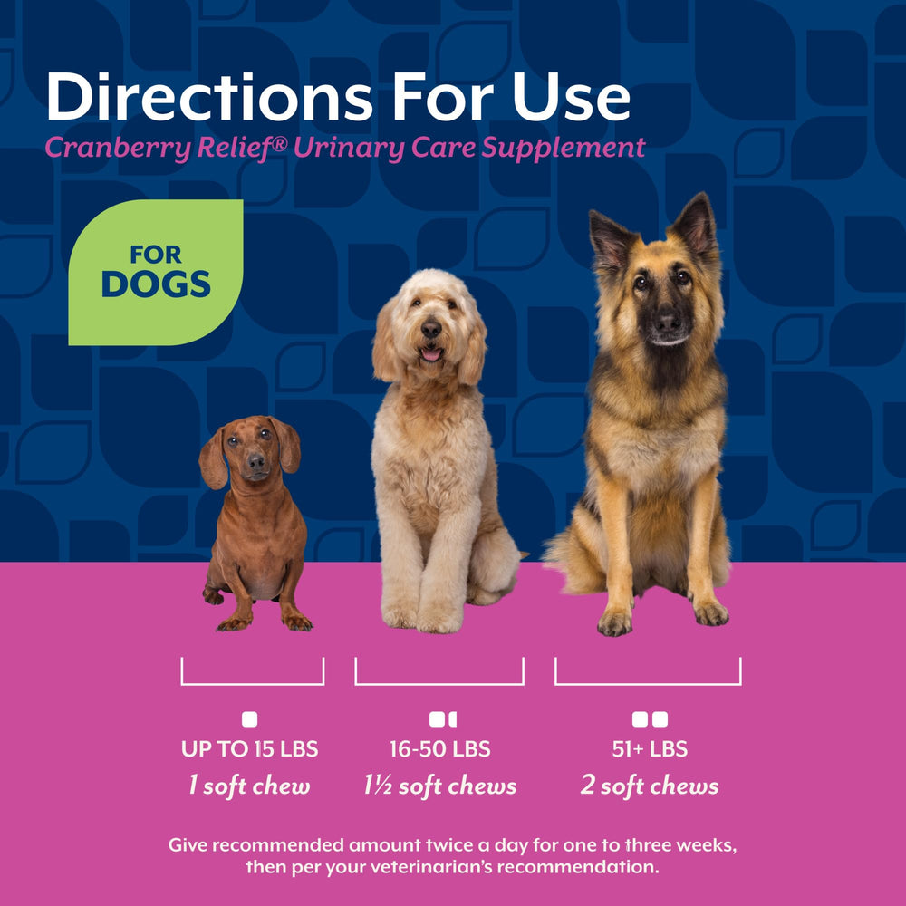NaturVet soutien urinaire – flacon et dose recommandée pour chiens