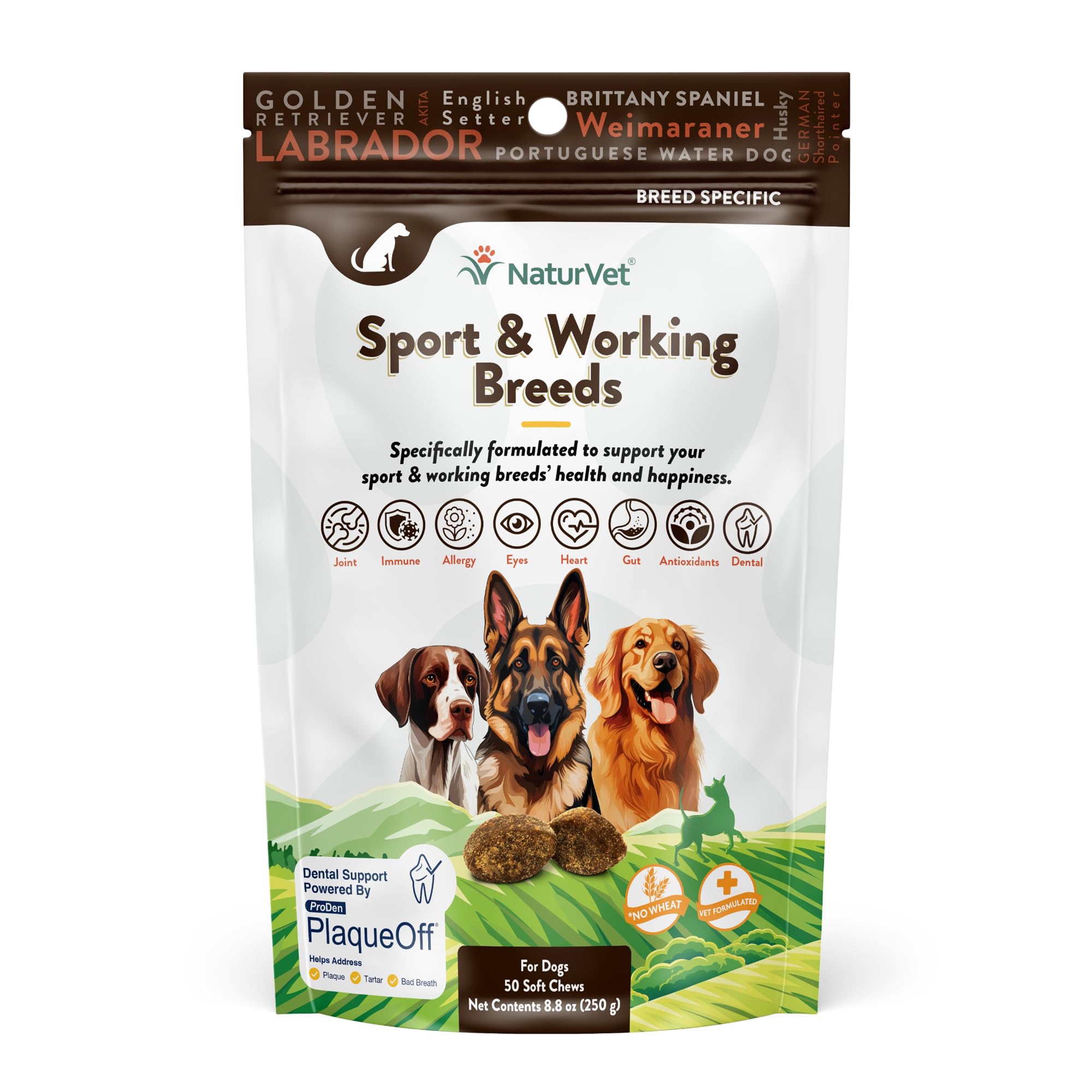 NaturVet Sport Supplement – bouteille visible montrant l’étiquette; soutien potentiel des articulations et de l’immunité