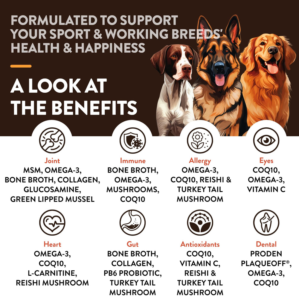 NaturVet Sport Supplement – étiquette et ingrédients; aperçu des composants et guidage d’utilisation