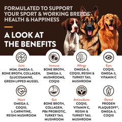 NaturVet Sport Supplement – étiquette et ingrédients; aperçu des composants et guidage d’utilisation