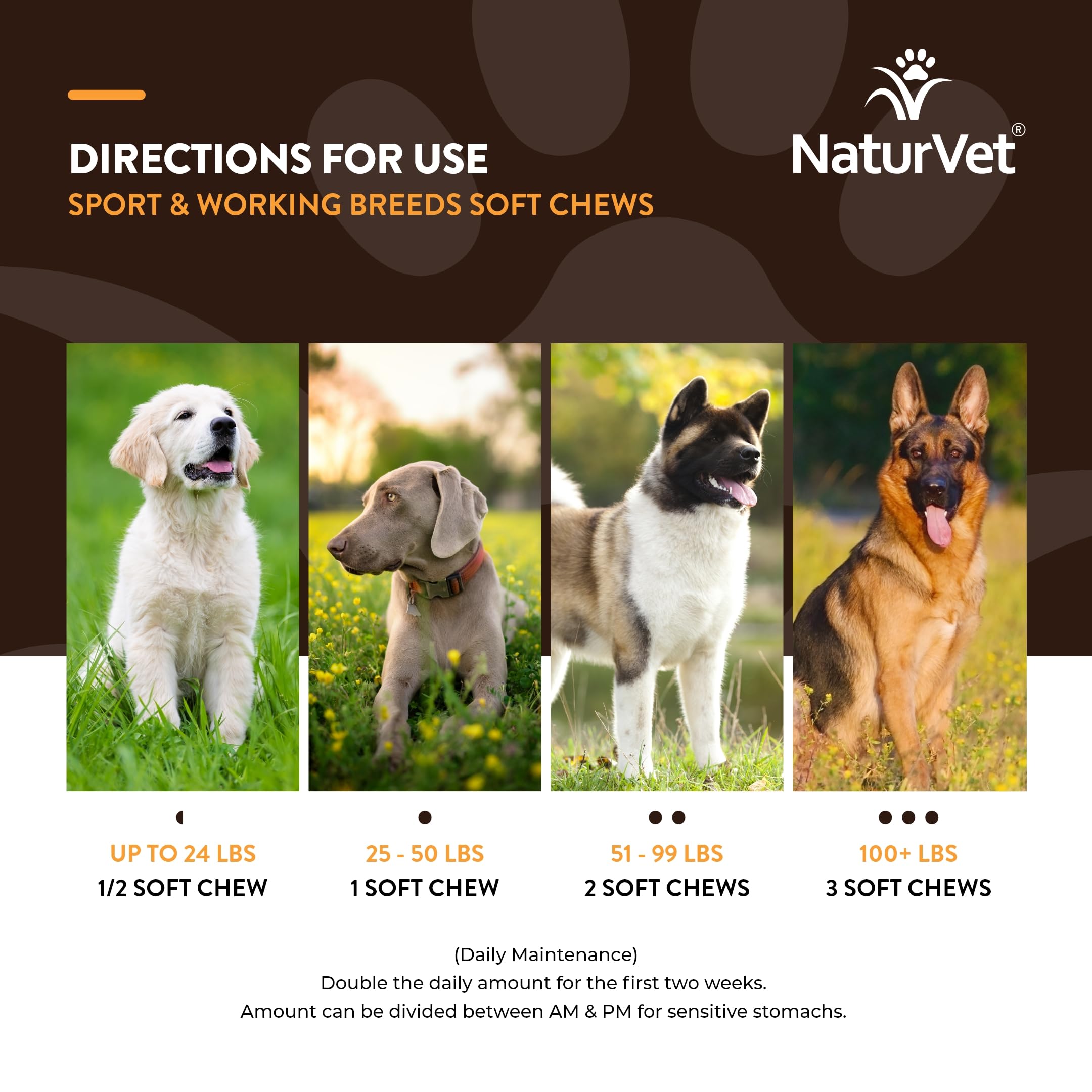 NaturVet Sport Supplement – ingrédients clés comme oméga-3 et collagène pour la peau et le pelage