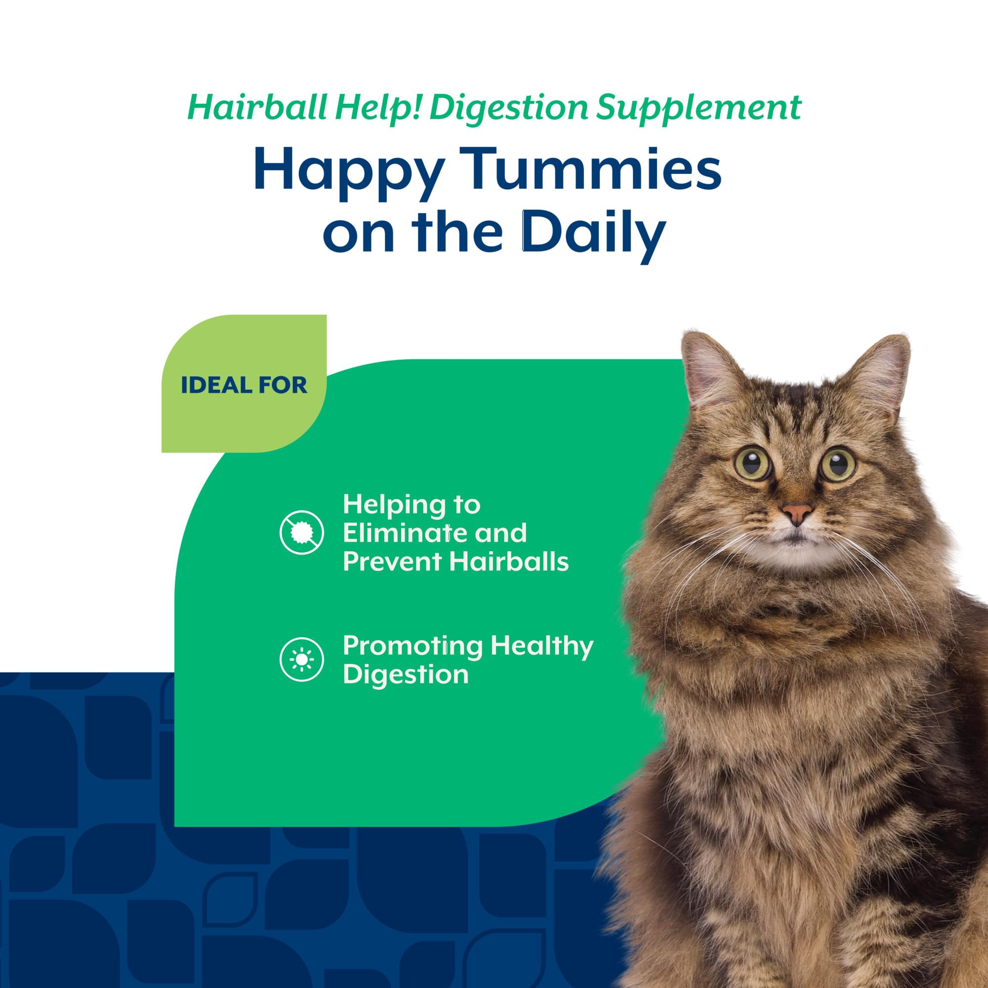 NaturVet usage quotidien, bonbons doux citrouille pour chats, facilite l’intégration dans la routine