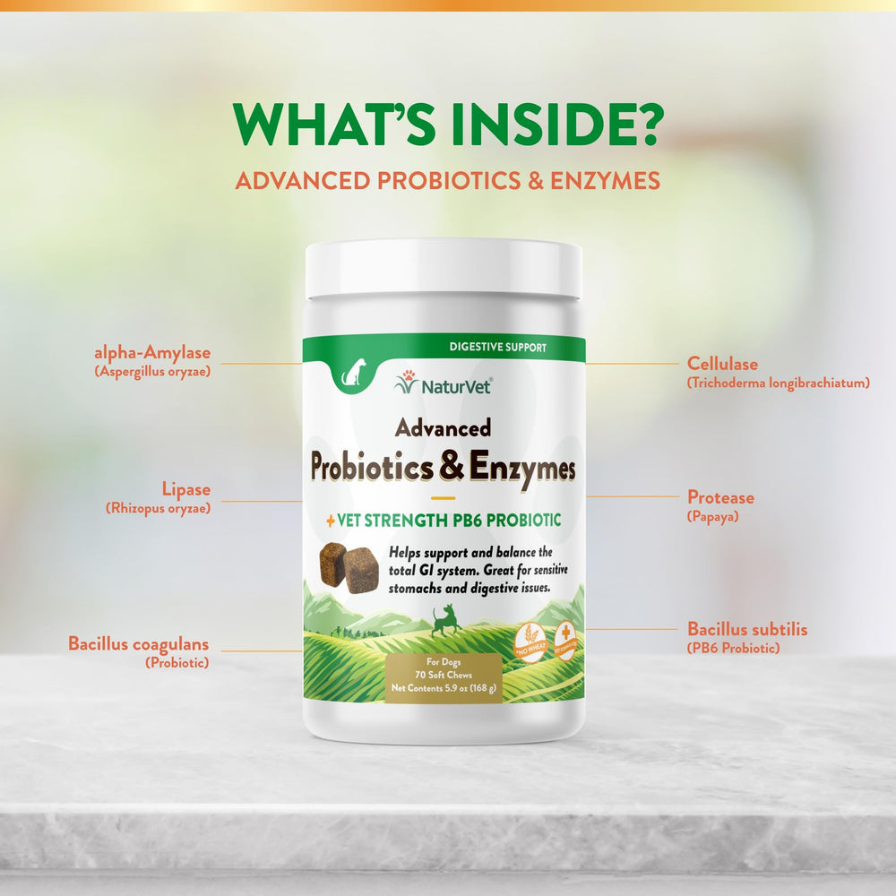NaturVet-usage-quotidien-chien suggère une routine simple pour soutenir la digestion.