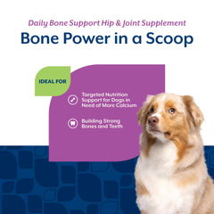 NaturVet Calcium-Phosphore et vitamine D, aide potentielle à l’absorption des minéraux.