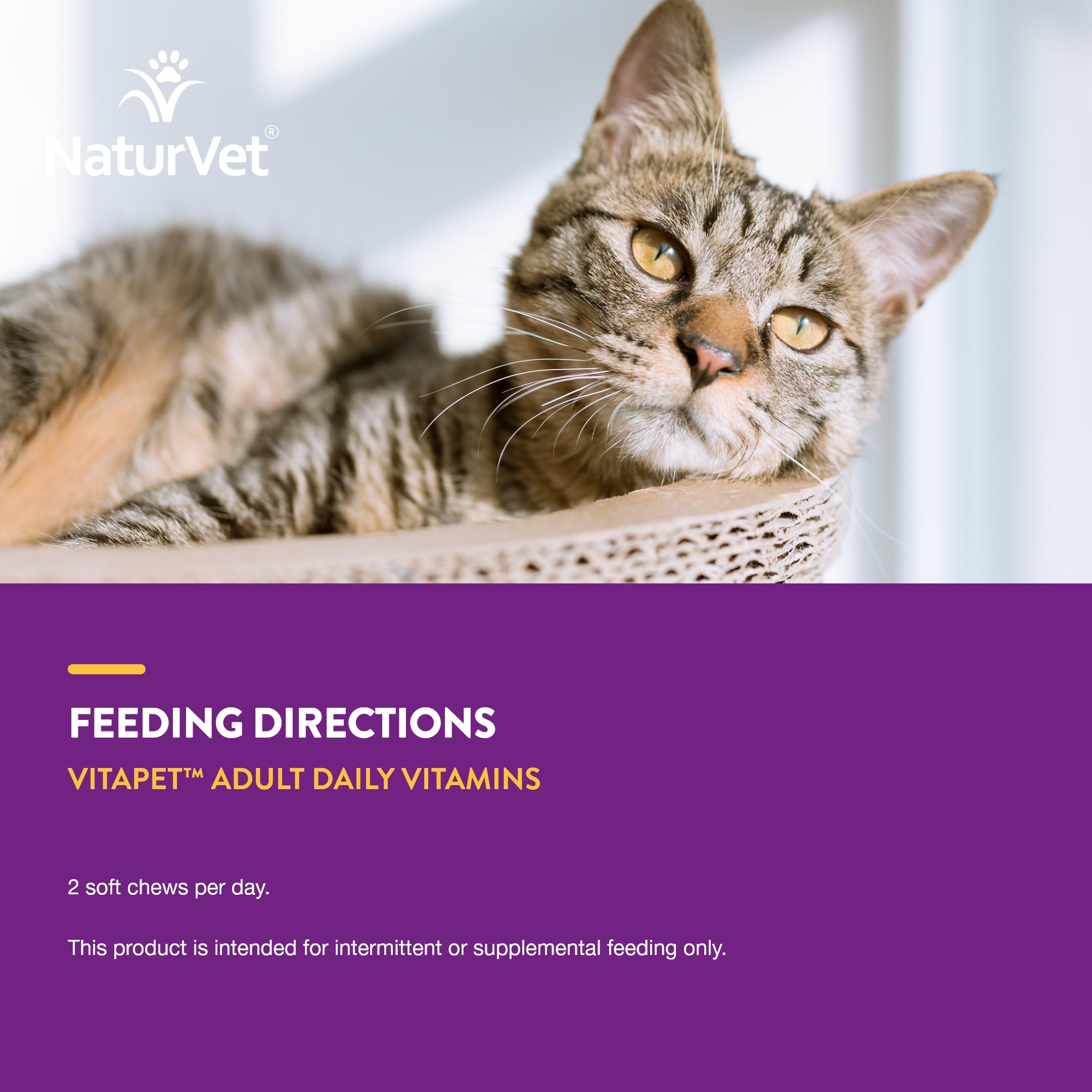 NaturVet VitaPet Senior – Formulation vétérinaire, sécurité pour les chats.