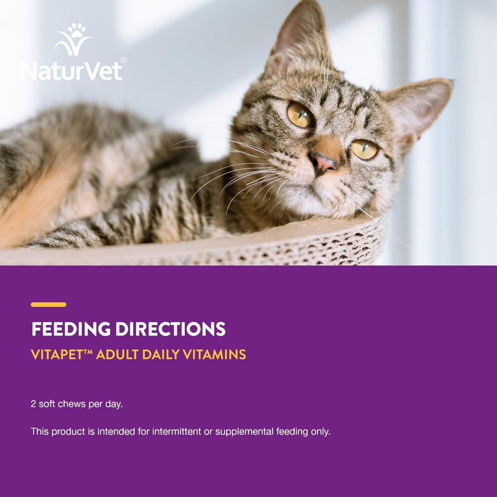 NaturVet VitaPet Senior – Formulation vétérinaire, sécurité pour les chats.