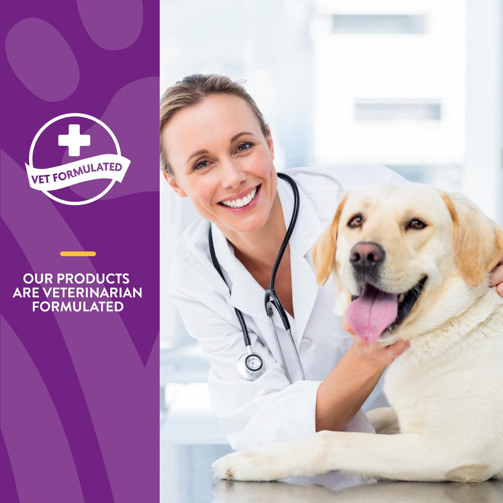 NaturVet VitaPet Senior – soutien des articulations pour les mouvements quotidiens.