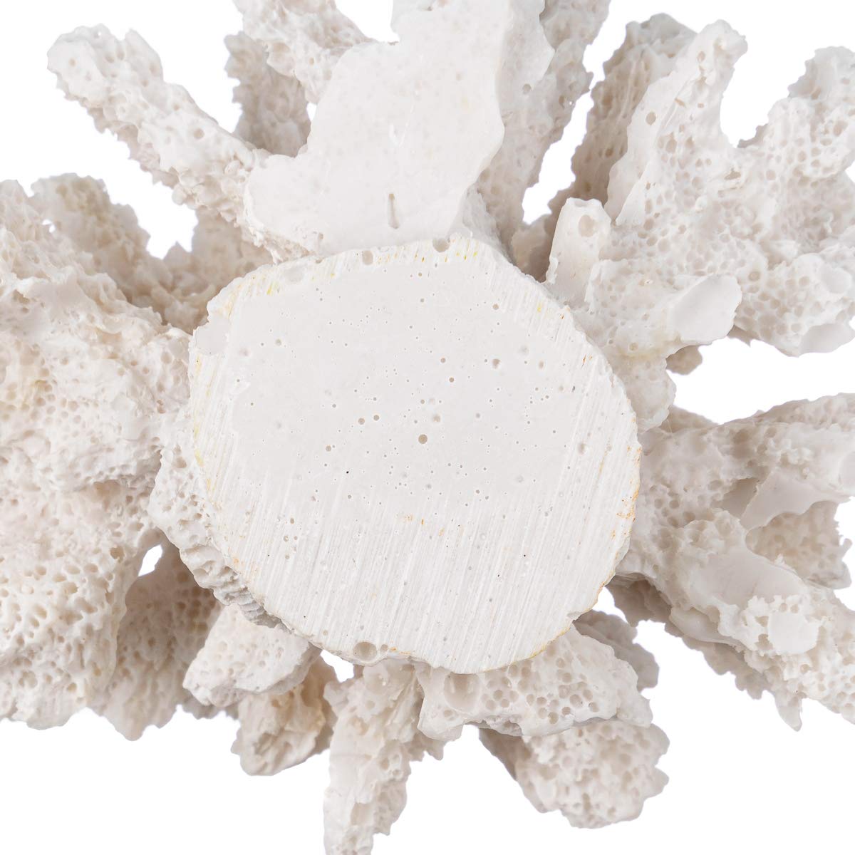 Nautical Crush Trading corail blanc cadeau décoratif pour passionnés du littoral
