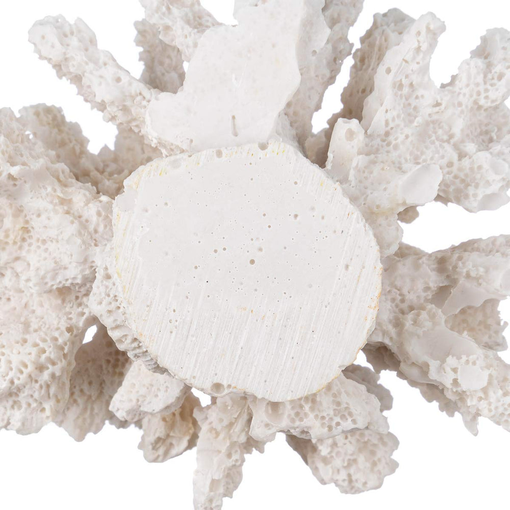 Nautical Crush Trading corail blanc cadeau décoratif pour passionnés du littoral
