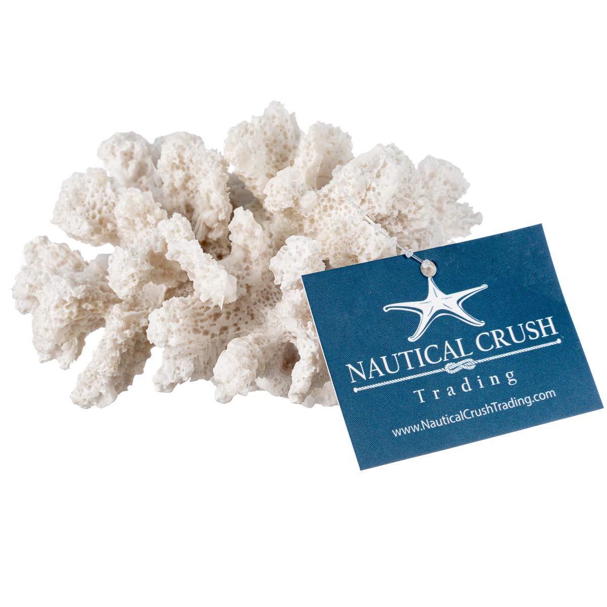 Nautical Crush Trading corail blanc centre-table plage décoration