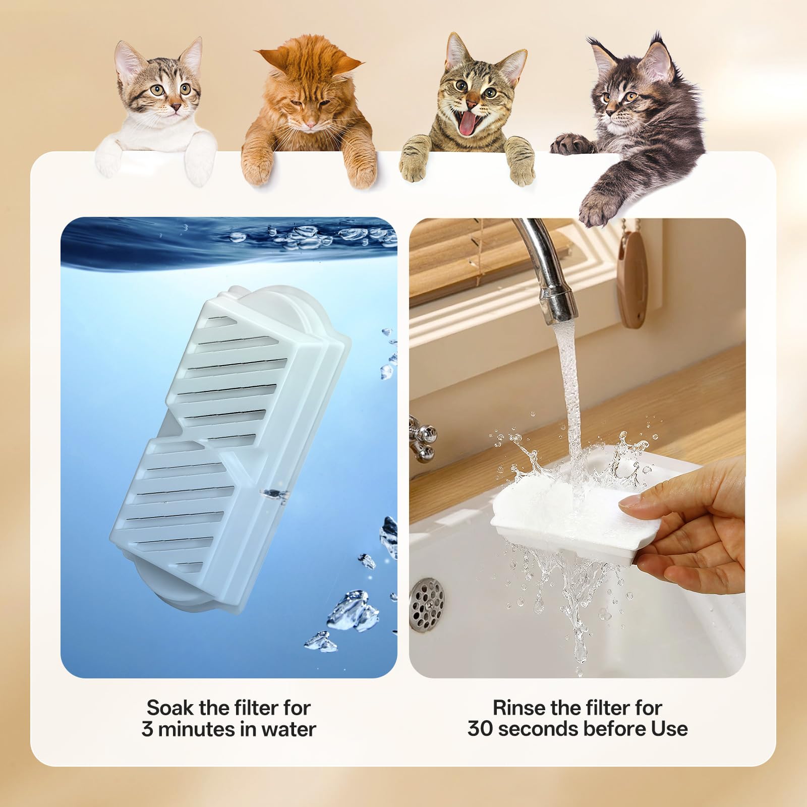 NautyPaws filtre rinçage pré-utilisation pour démarrage rapide