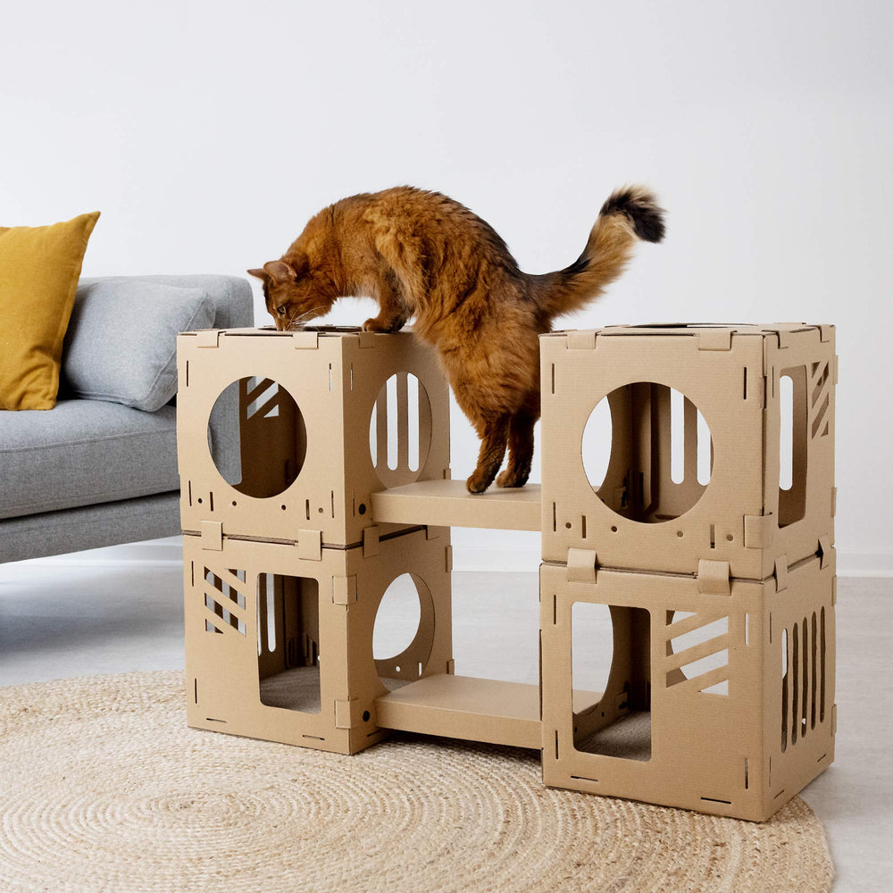 Navaris maison chat carton modulaire ponts, parcours entre cubes.