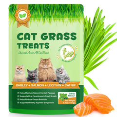 NB TREKTIE friandises dentaires à base d’herbe-chat pour une bouche saine