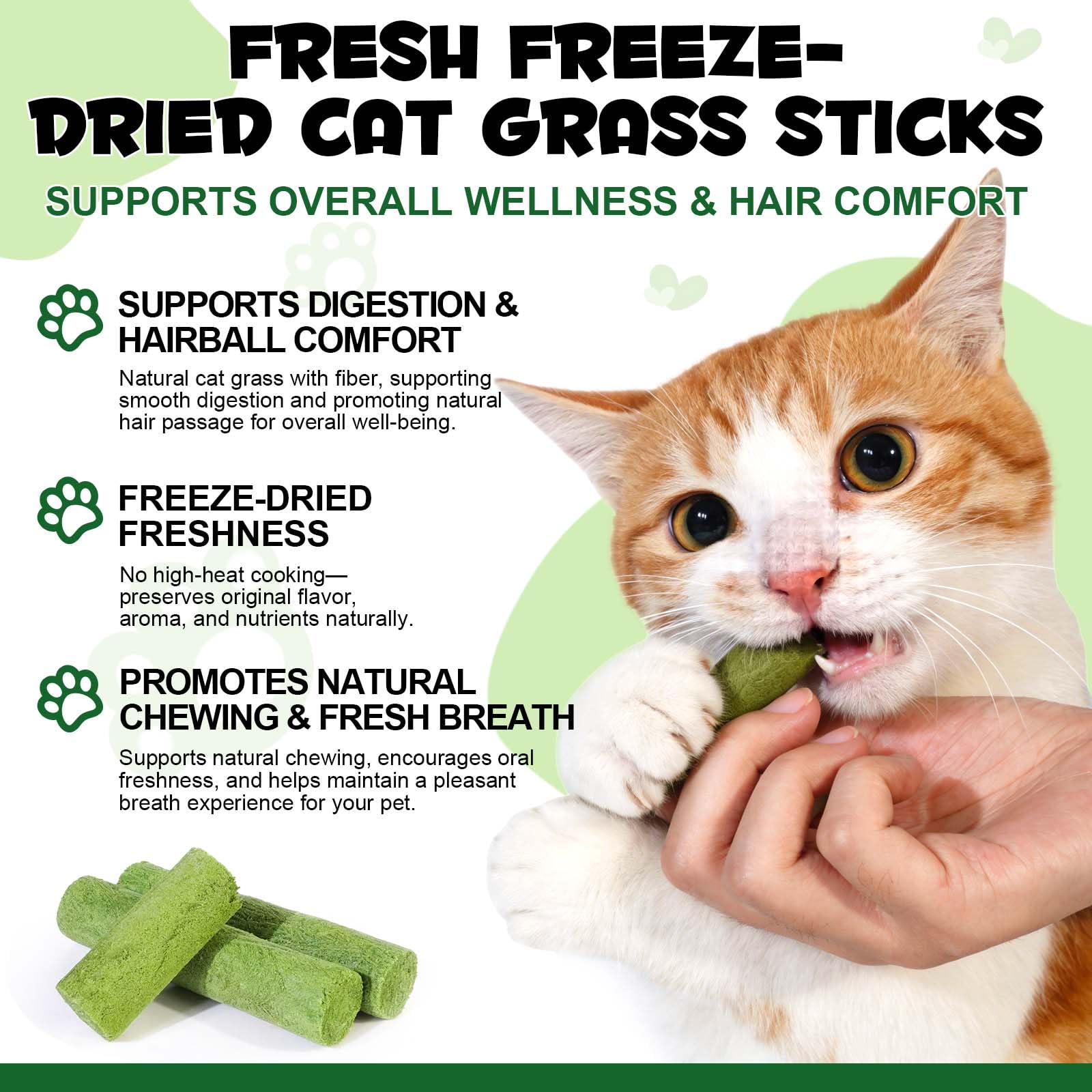 NBTREKTIE ingredients herbe chat: fibre naturelle pour digestion