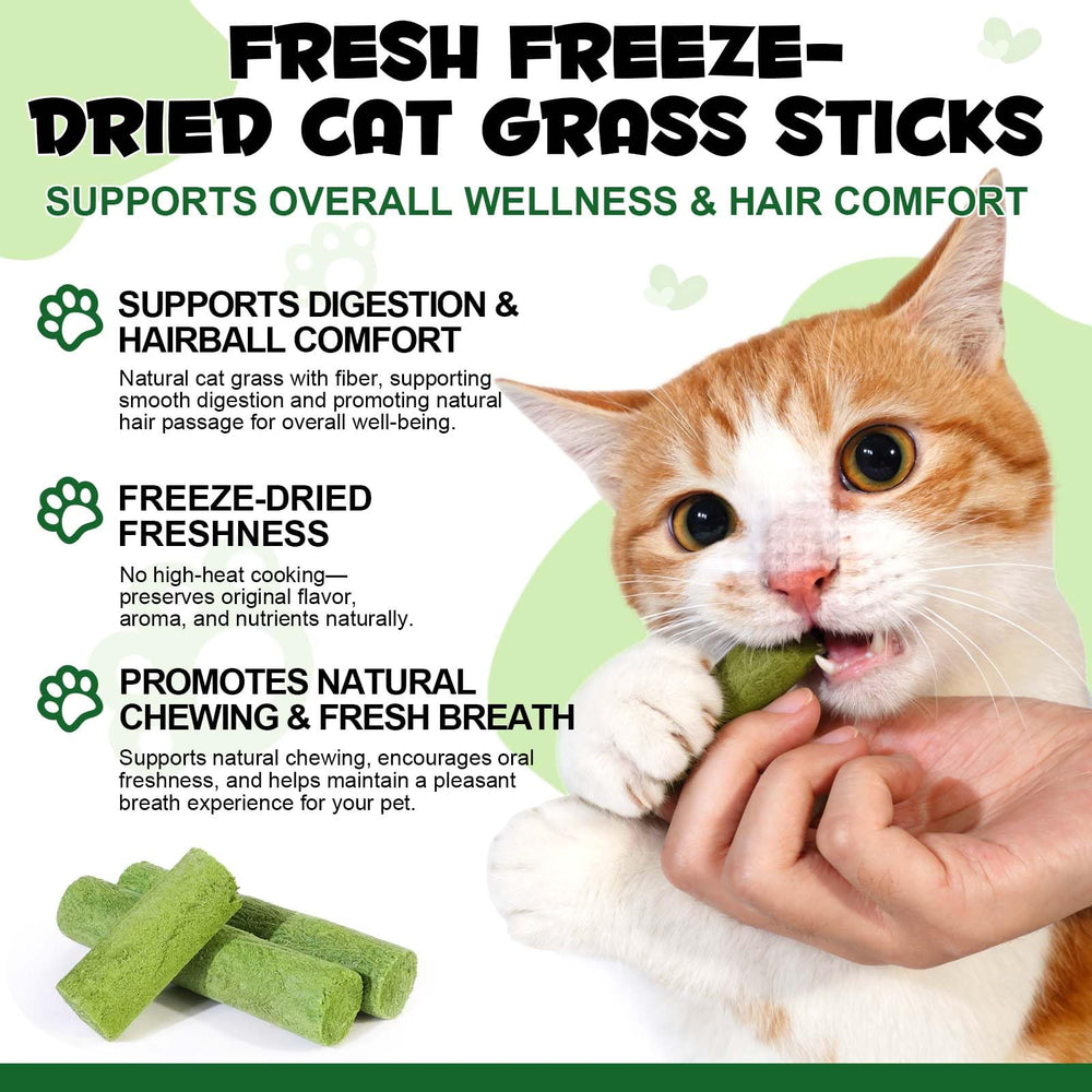 NBTREKTIE ingredients herbe chat: fibre naturelle pour digestion
