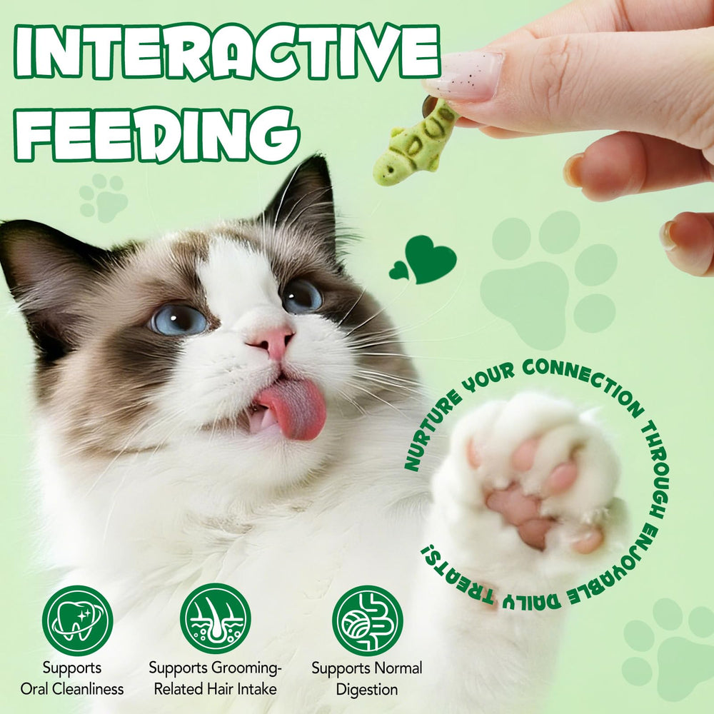 NB TREKTIE usage quotidien pour chats d’intérieur