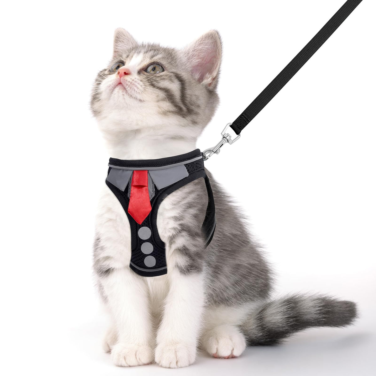 Harnais anti-evasion NCMAMA pour chat noir XS – balade plus sûre