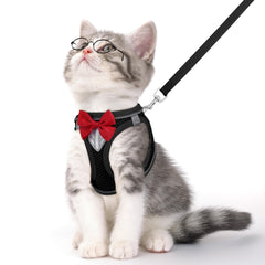 NCMAMA harnais-chat avec bande réfléchissante, visibilité nocturne accrue pour les promenades.