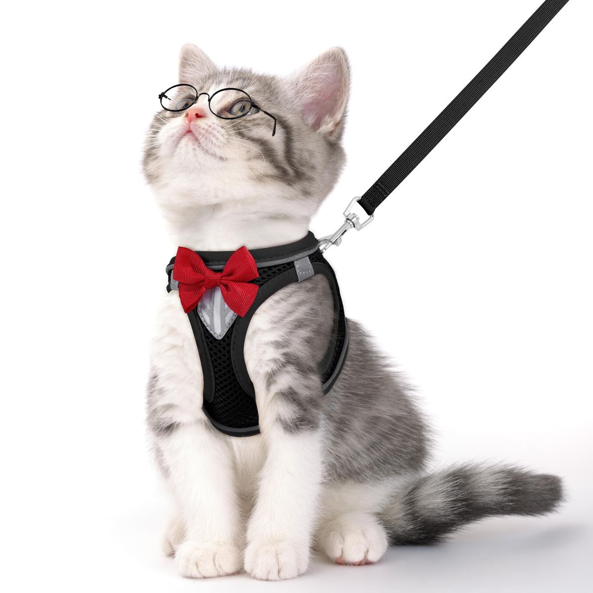 Harnais NCMAMA pour chat avec bande réfléchissante, sécurité accrue lors des balades nocturnes.