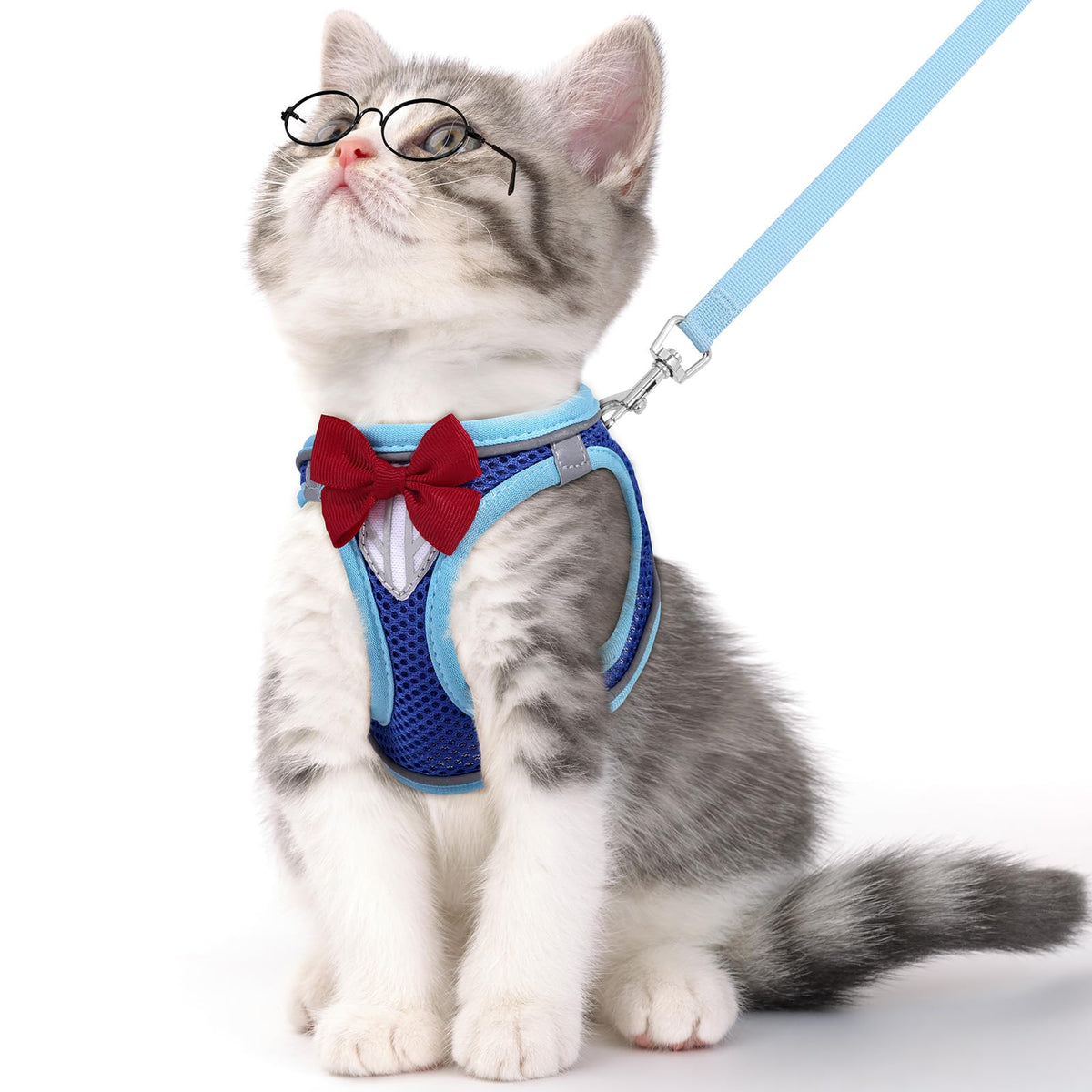 harnais chat NCMAMA avec reflet bleu pour meilleure visibilité nocturne.