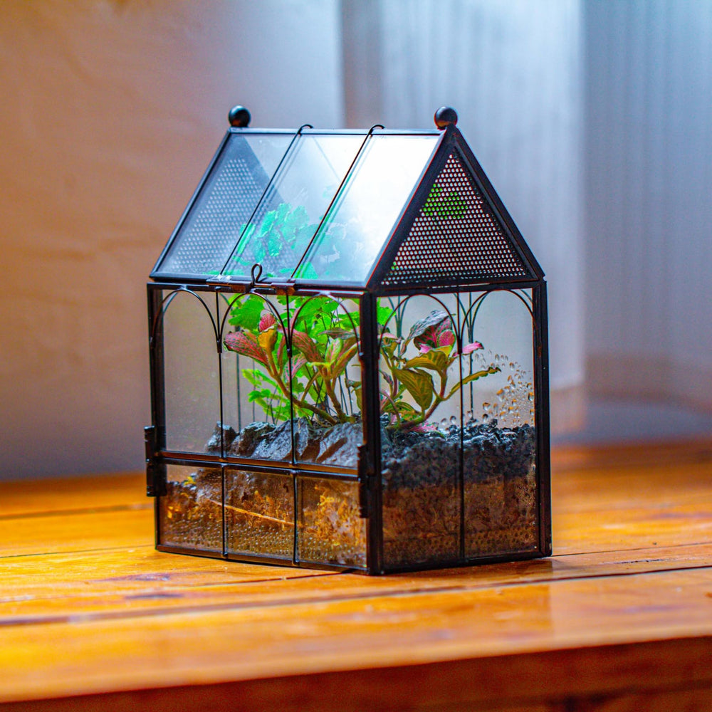 NCYP terrarium décoratif géométrique, adapté au salon ou au bureau.