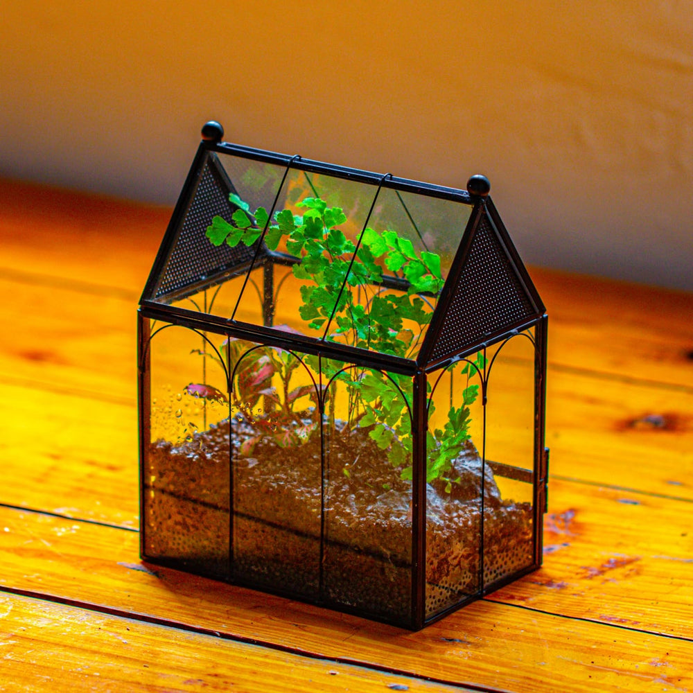 NCYP terrarium géométrique en verre, déco moderne pour bureau.