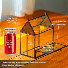 NCYP terrarium en verre pour mousse et fougère, plante cachée possible.