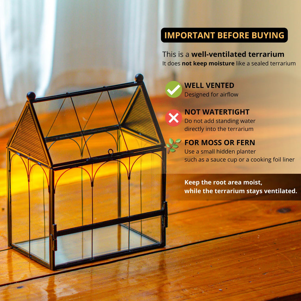 NCYP terrarium en verre non étanche, usage sec idéal.