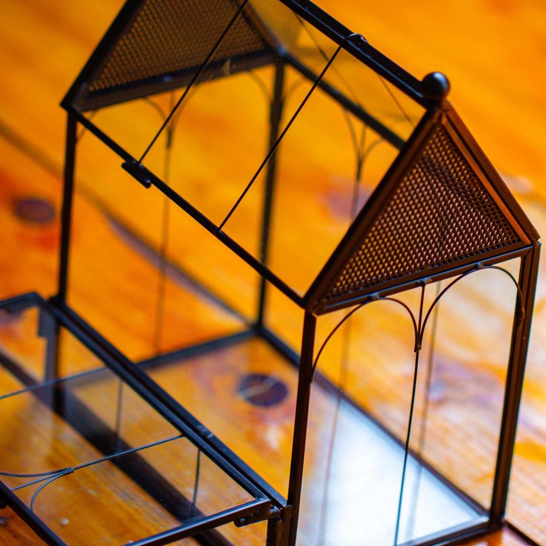 NCYP terrarium porte frontale 5-8x2-95 po, dimensions claires.