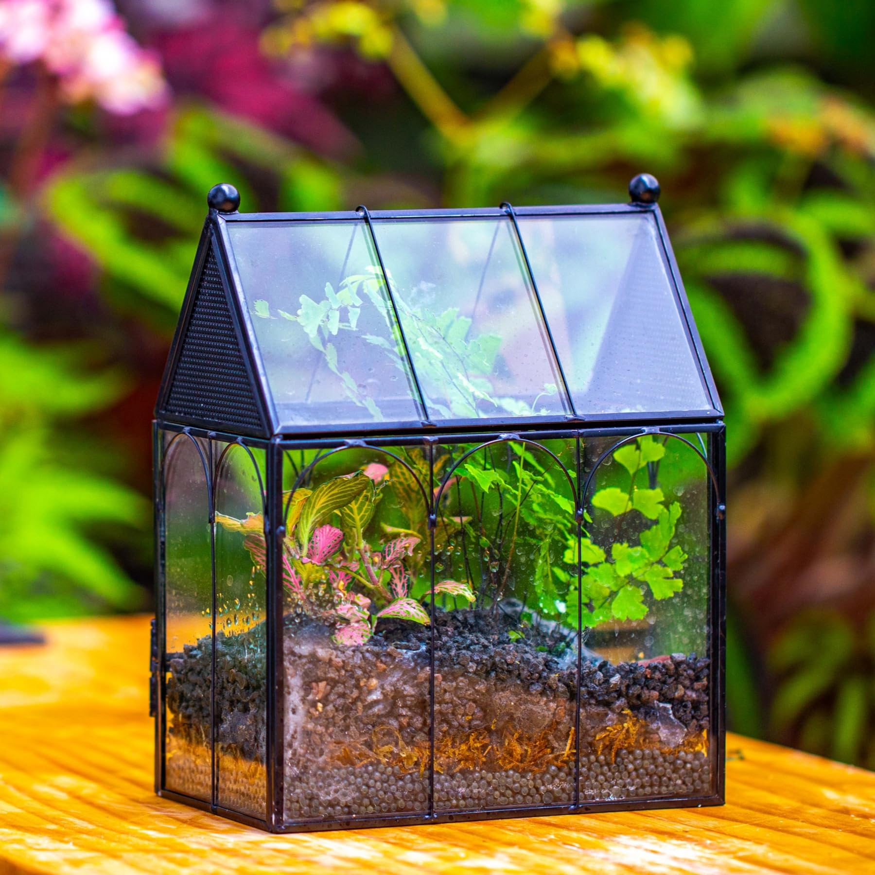 NCYP terrarium ventilé, affichage sec et entretien aisé.