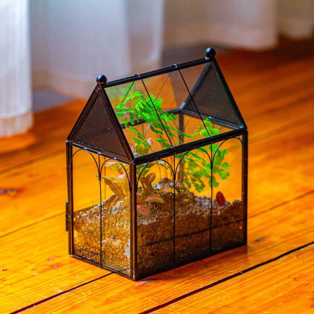 NCYP terrarium volume environ 2,1 L, petit format pratique.