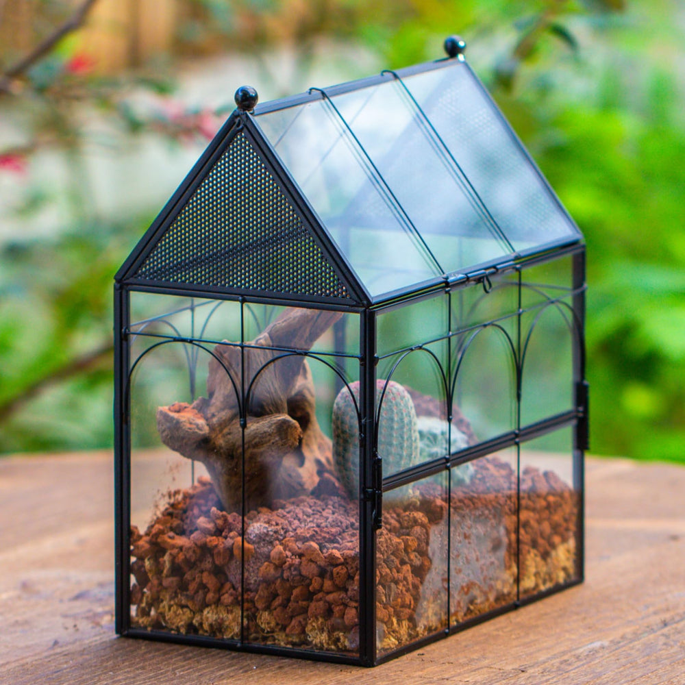 NCYP terrarium parfait pour maison, bureau ou étagère, rendu clair et lumineux.
