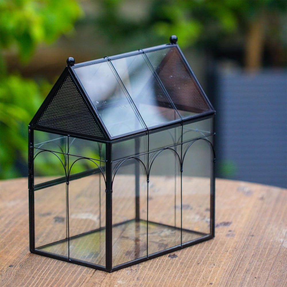 NCYP terrarium dimensions 19x12,5x23 cm, placement discret et élégant.