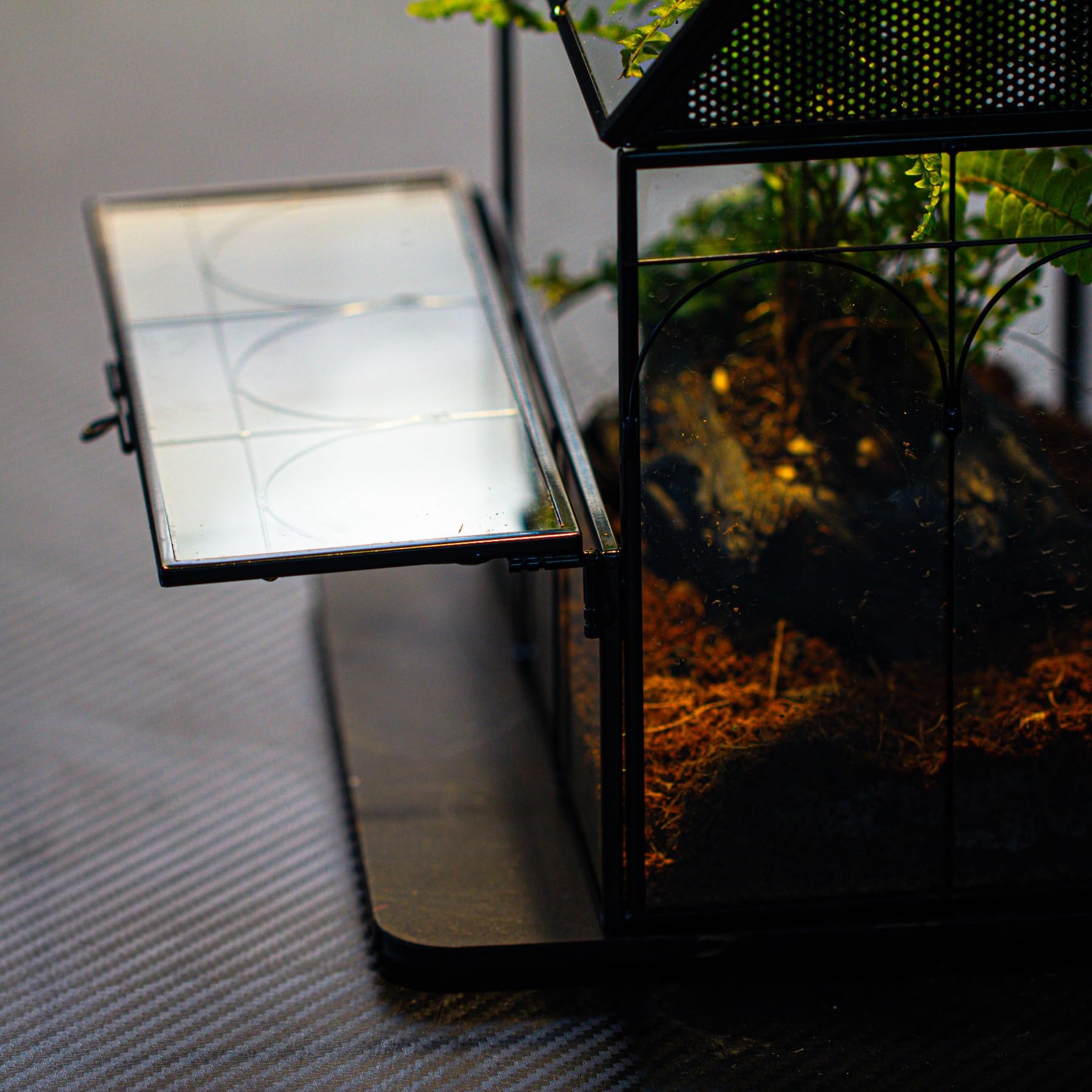 NCYP terrarium idéal pour petites plantes, succulentes et arrangements décoratifs.