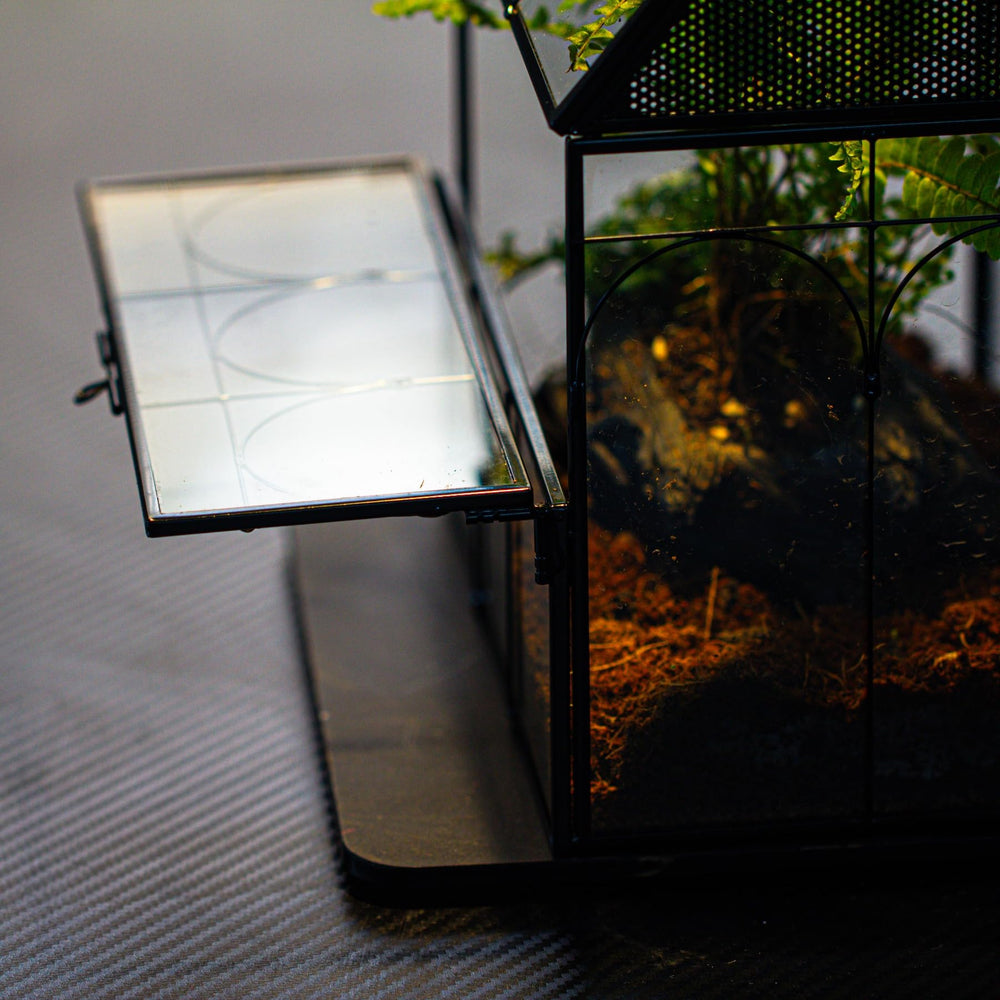 NCYP terrarium idéal pour petites plantes, succulentes et arrangements décoratifs.